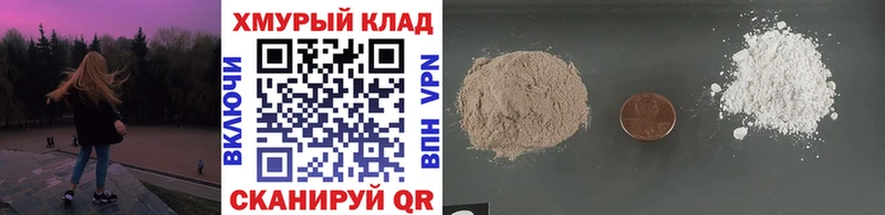 ГЕРОИН хмурый  Корсаков 