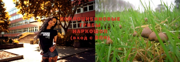 мдпв Нягань