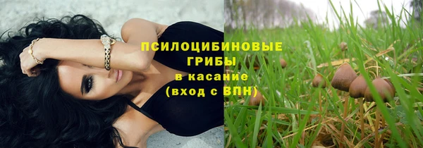 мдпв Нягань