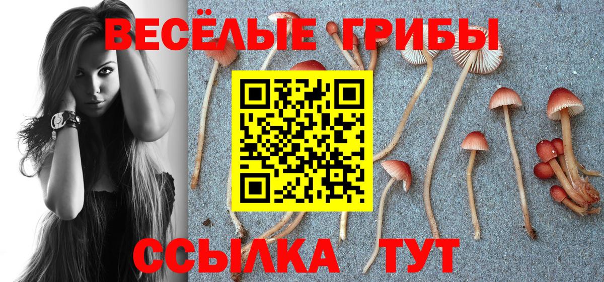 даркнет сайт  Вход с VPN  Корсаков  Псилоцибиновые грибы прущие грибы 